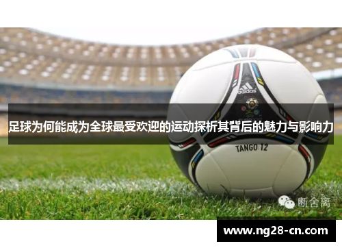 足球为何能成为全球最受欢迎的运动探析其背后的魅力与影响力