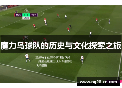 魔力鸟球队的历史与文化探索之旅 魔力鸟球队的历史与文化探索之旅