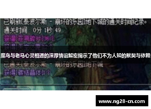 魔鸟与老马心灵相通的深厚情谊解密揭示了他们不为人知的默契与依赖