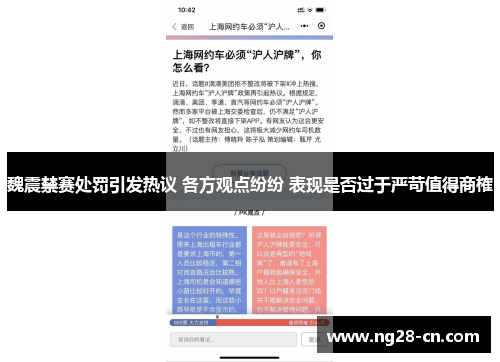 魏震禁赛处罚引发热议 各方观点纷纷 表现是否过于严苛值得商榷