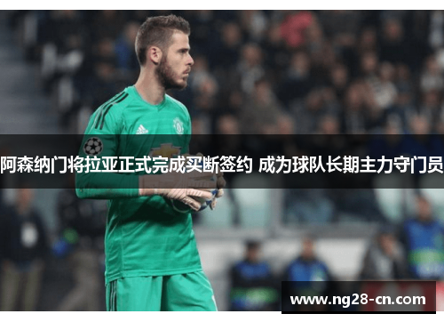 阿森纳门将拉亚正式完成买断签约 成为球队长期主力守门员 阿森纳门将拉亚正式完成买断签约 成为球队长期主力守门员